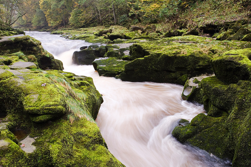 LANDSCAPE PHOTOGRAPHY MASTERCLASS – BOLTON ABBEY – FULLY BOOKED
