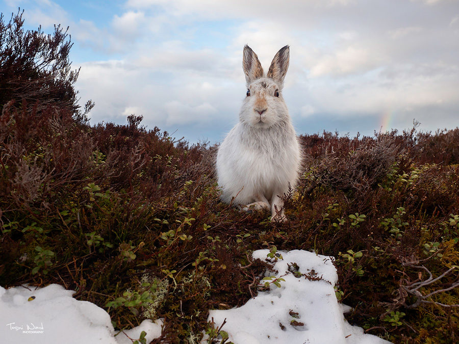 GETTING TO KNOW YOUR CAMERA WITH TESNI WARD